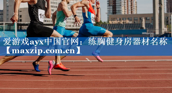 练胸健身房器材名称 练胸健身房器材名称