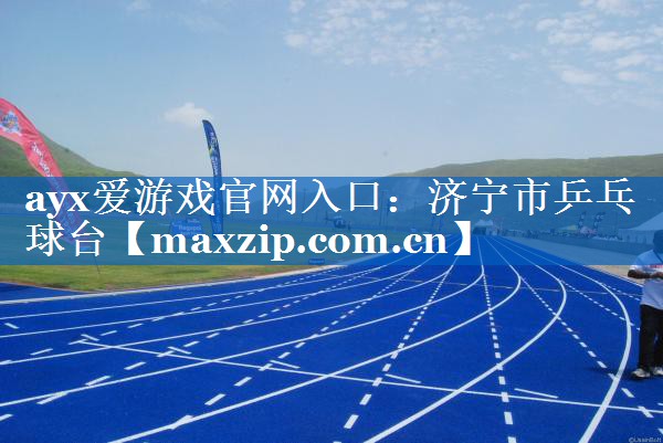 济宁市乒乓球台 济宁市乒乓球台